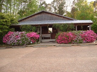 Wayside Animal Hospital